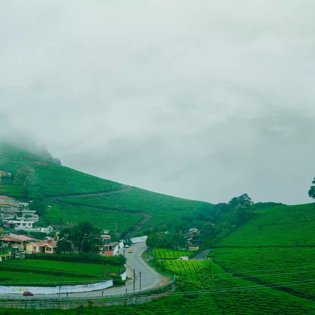 Mountains of Ooty,