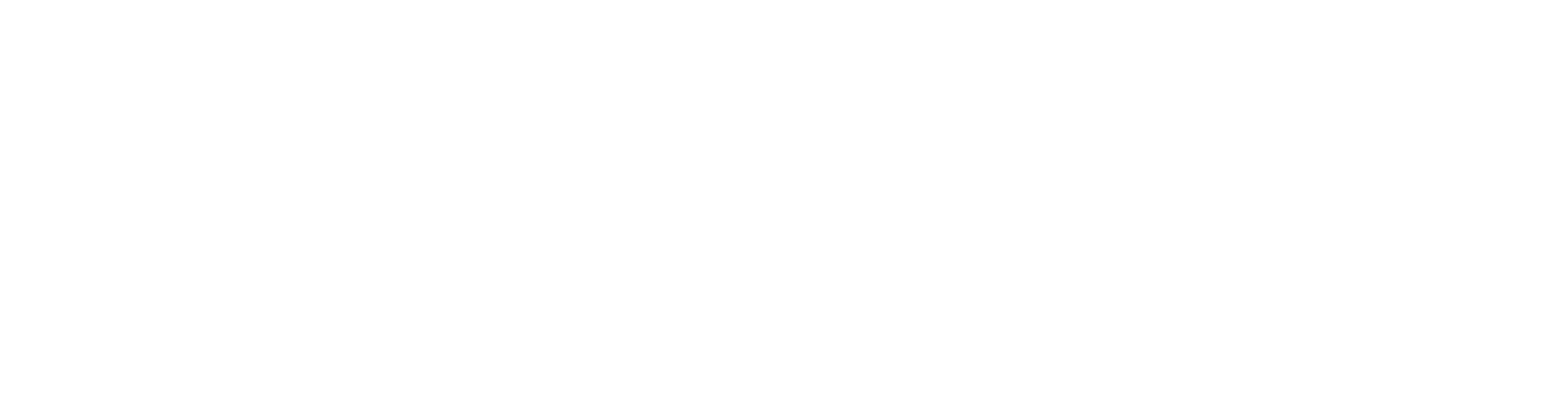 Tanzeel Inc GeekSpoc