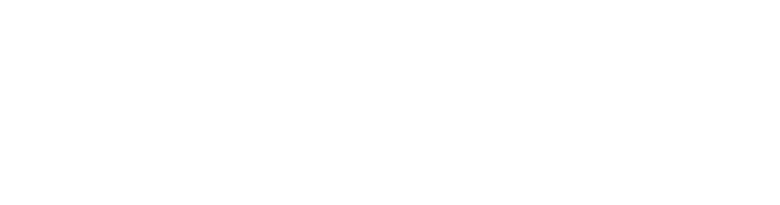 Tanzeel Inc GeekSpoc